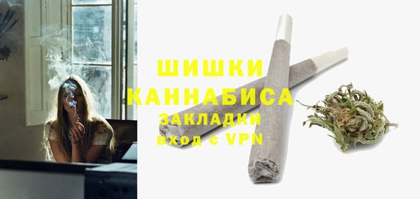 шишки Арсеньев