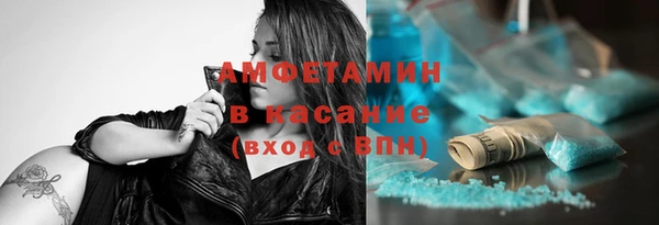 шишки Арсеньев