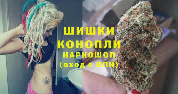 шишки Арсеньев