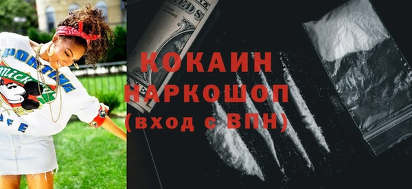 шишки Арсеньев