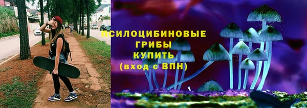 шишки Армянск