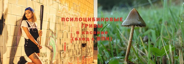 шишки Арсеньев
